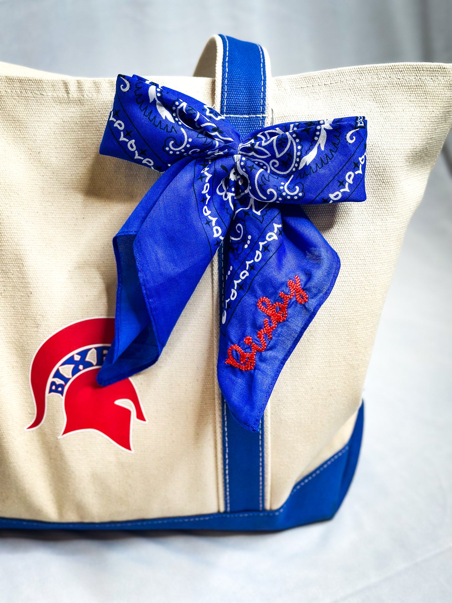 BEE - Bixby Bandana Bow