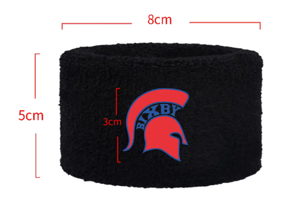 B3R25 Bixby Wristbands