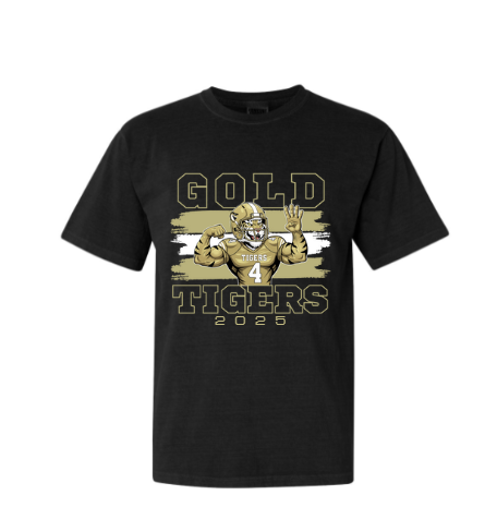 BAGF25- BA Gold Football Black
