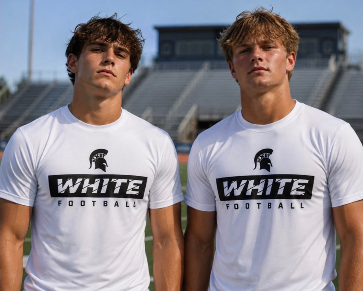 B7WF26 - White Sliced Football