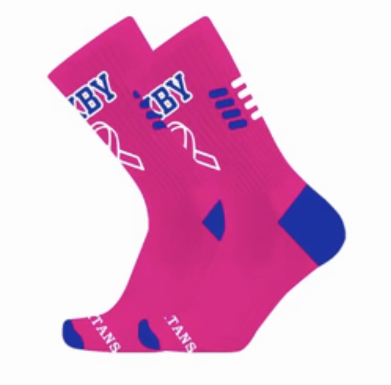 BFPS26- Breast Cancer Socks