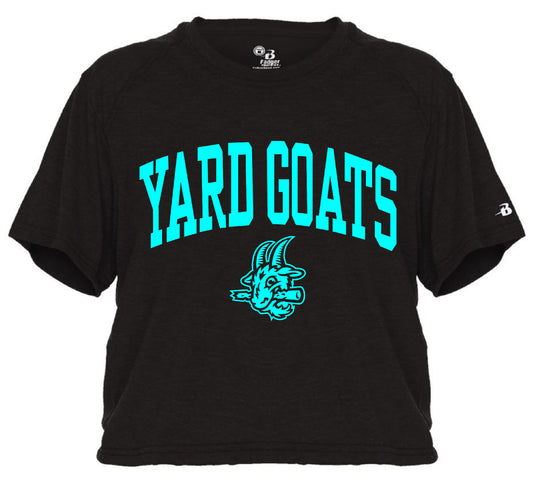 Yard Goats Arched Logo