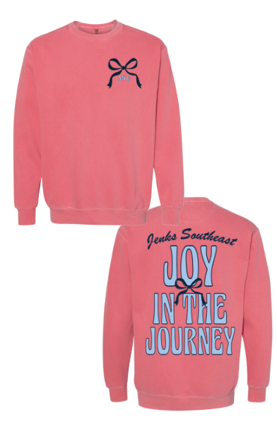 JSE- Joy in the Journey