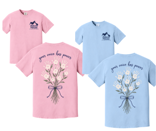 AH-Comfort Color Tee