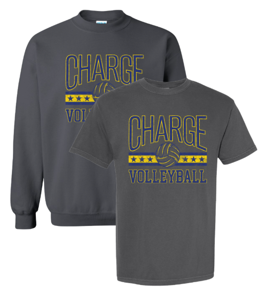 CVB - Charge Volleyball Grey Distressed